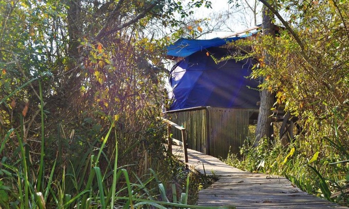 Partido de Tigre House | Domo de la Selva Tigre