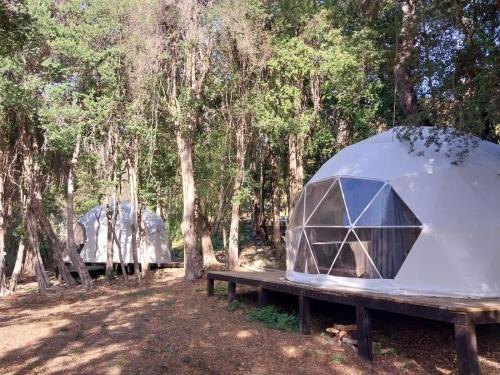 El Carmen Other | Domos Glamping Killahue