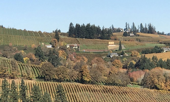 Dundee House | Dundee Hills. 3 Primary Suites! Exquisite Oregon Wine Country Experience