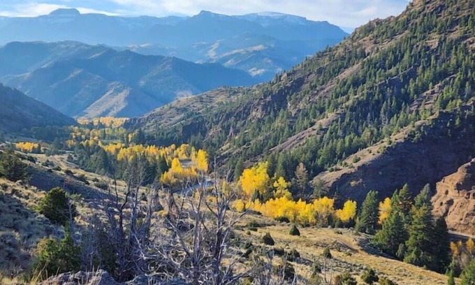 Cody House | Easy Living ~ Easy Playing, just a 5 minute walk from down town Cody.