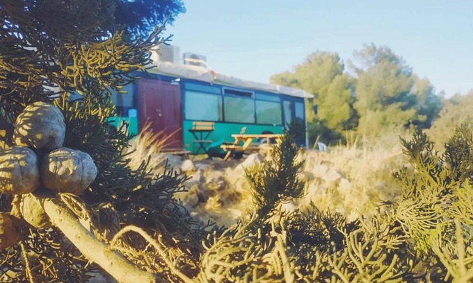 Qatsrin Other | eco bus