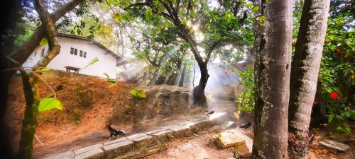 Suape House | Eco chalés 1 e 2