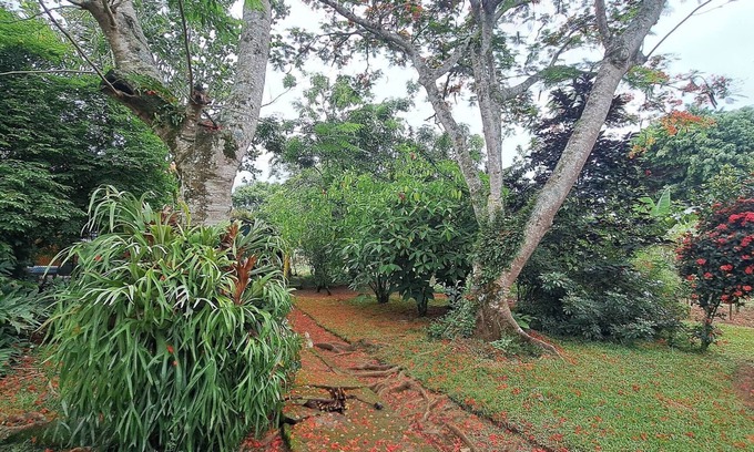 La Vega Province House | Enjoy the Peace and Nature of Jarabacoa