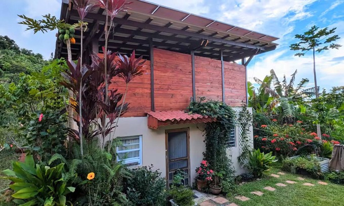 Vivi Abajo Apartment | Epic Mountaintop Jungle Casita Adventure