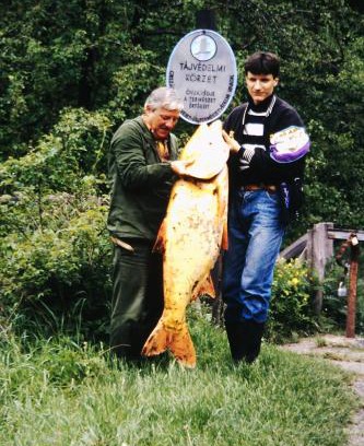 Uppony House | Erdész Vendégház