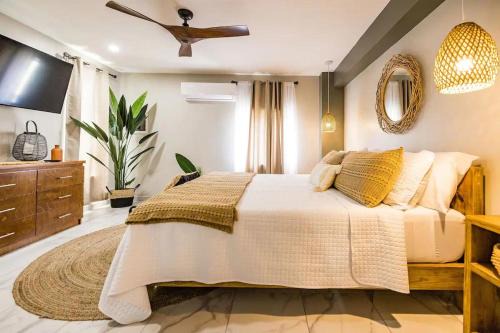 De Bruynewijk Apartment | Eva Oceanfront Spa Resort Rooftop &pool By Lucha