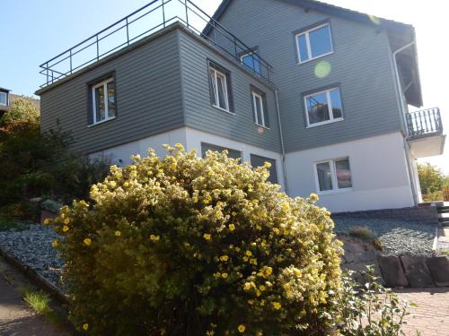Sankt Andreasberg Apartment | Fünf Harzer Berge - Rehberg