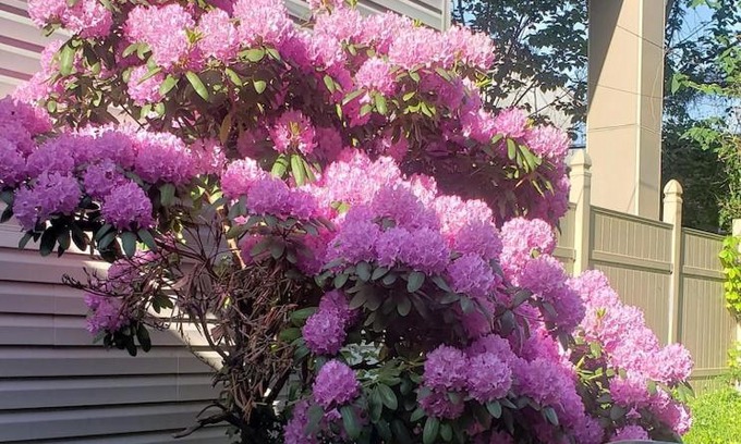 Fairmount House | Fairmount Oasis