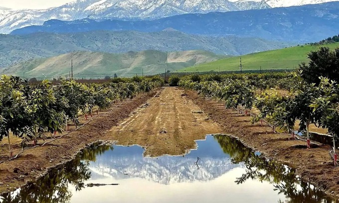 Exeter House | Fall Relaxation, National Parks, Home in the Orchards in Quaint Exeter