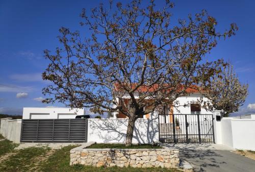 Velim House | Family friendly house with a swimming pool Bulic, Zagora - 18943