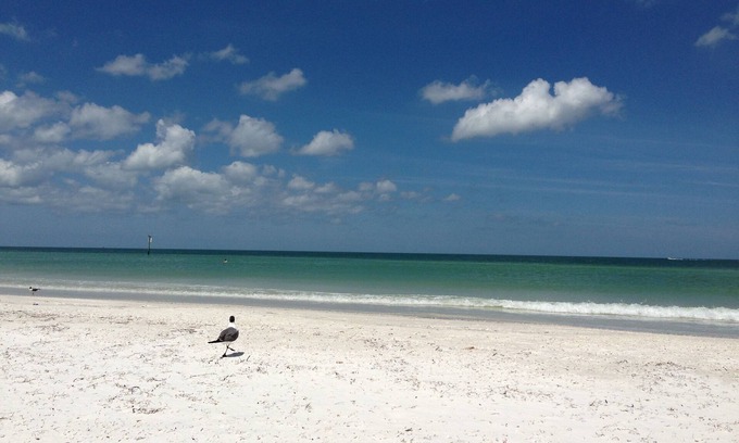 Bay Esplanade House | Family Friendly Beach Retreat, Short Walk to the Beach