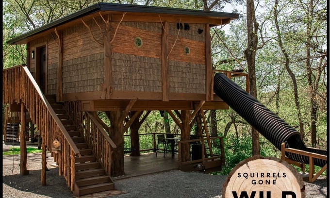 Sevierville Cabin | Family Treehouse Getaway - Private Slide + Sleeps 6