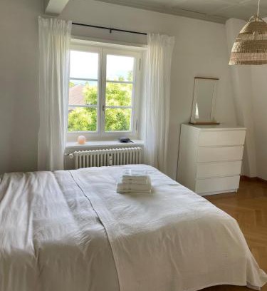 Meilen District Apartment | Fantastically beautiful old building apartment with lake view