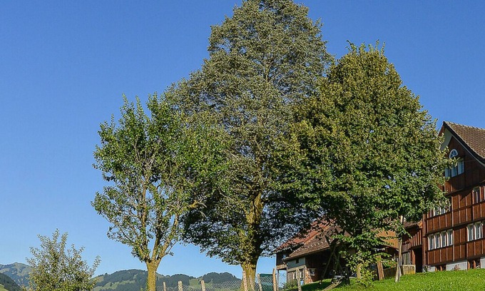 Ruete Other | Farm holidays with the best Alpstein view