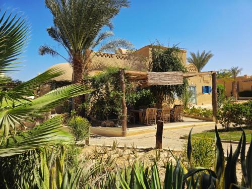 Tunis Village Bed & Breakfast | Fayoum Art Center