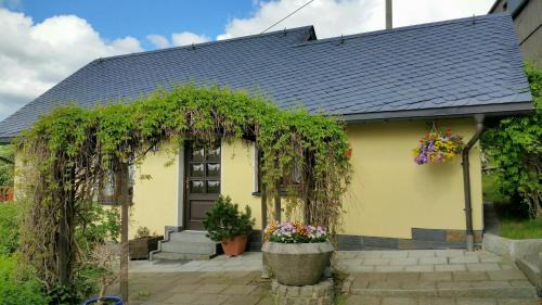 Klingenthal House | Ferienhaus Riedl