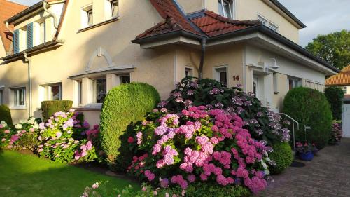 Stralsund Apartment | Ferienwohnung Bleichen