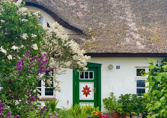 Wieck auf dem Darss Apartment | Ferienwohnung Sierke