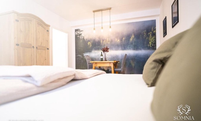 Gmunden Apartment | Ferienwohnung Somnia - Altstadt Gmunden