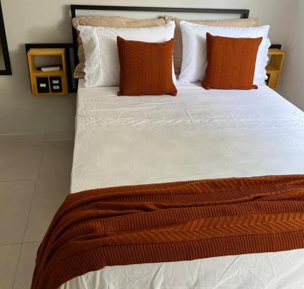 Jardim Ipe Apartment | Flat com ar, Vista para o Ibituruna - Rio Doce - 202