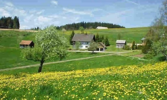 Schwarzenbach Apartment | Flat with garden in Schwärzenbach