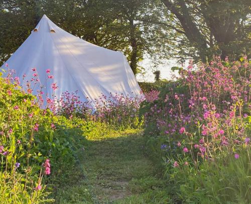 Marazion Other | Foxglove Field Glamping