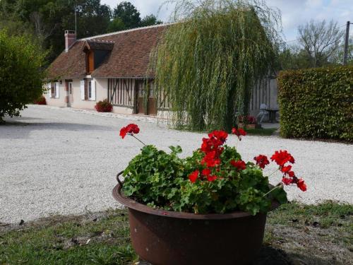Cour-Cheverny House | Gîte champêtre familial près des Châteaux de la Loire, terrasse, pêche, aire de jeux, animaux acceptés - FR-1-491-345