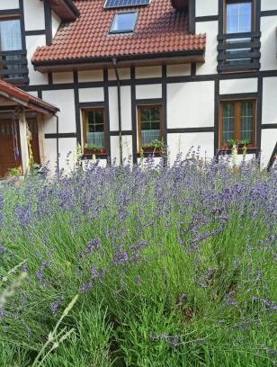 gmina Siemysl House | Gandelinka Park Kędrzyno