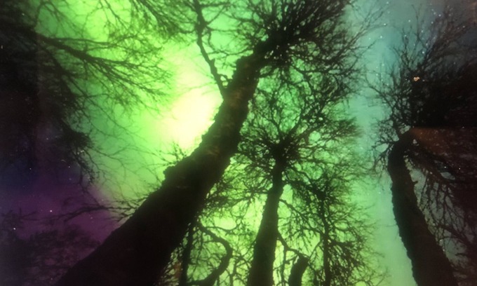 Nikiski House | Getaway Home bordering beautiful Capt. Cook Park recreation area!