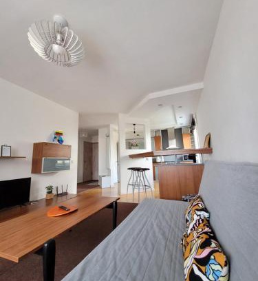 Kaunas Apartment | Giedres Taikos Apartments
