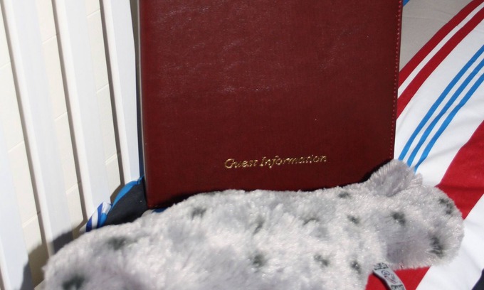 Strangford Cabin | Glamping In Style At Seal Cabi