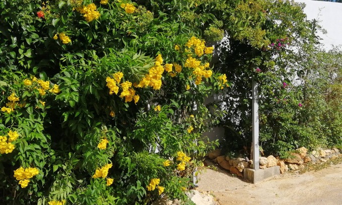 Silves House | Glamping Parque Retiro dos Sonhos