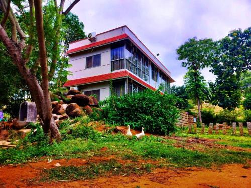 Yelagiri Hotel | Glass House Yelagiri