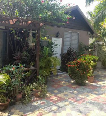 New Kingston Apartment | Glenhope Cottage