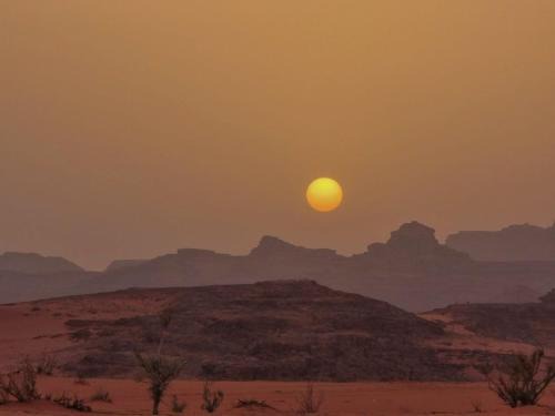 Wadi Rum Hotel | Glow of Rum Camp