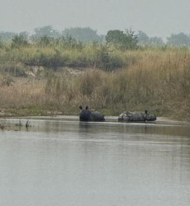 Bardia Bed & Breakfast | Good Karma Homestay