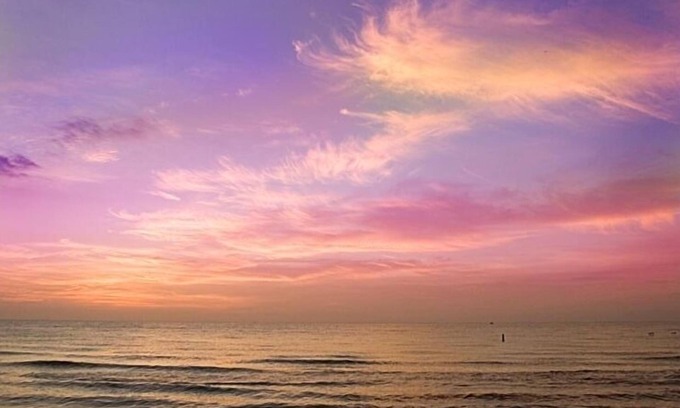 Clearwater Beach Apartment | Great Studio - Under 2 minute walk to beach where dogs are welcome