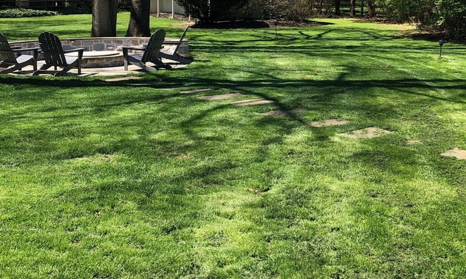 Devon Cottage | Guest cottage minutes from The Devon Horse Show