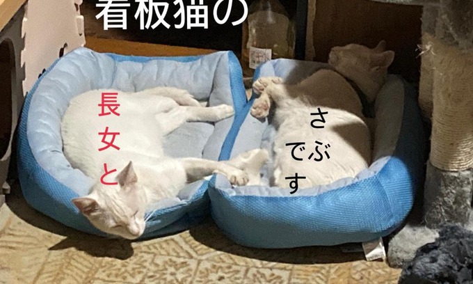 Yokkaichi House | Guest House Salt Beach