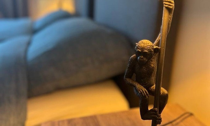 Eeklo House | Happy House in Eeklo Centre!