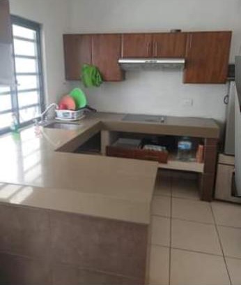 Valle Dorado House | Happy turtle