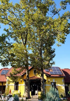 Balatonlelle Apartment | Harmónia Apartmanház