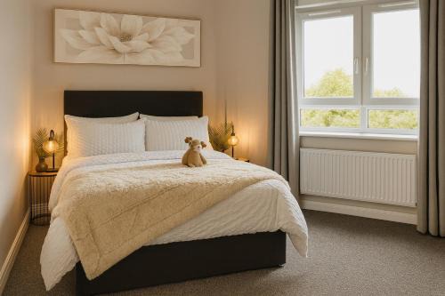 Newtownabbey Apartment | Hastings Apartments Extra Large Self Catering Apt Tourism Certified Free Parking WiFi