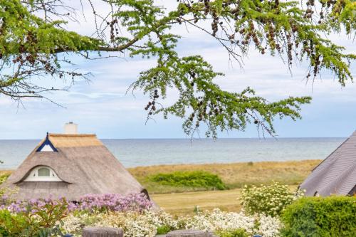 Ostseebad Ahrenshoop House | Haus Anna Atelier