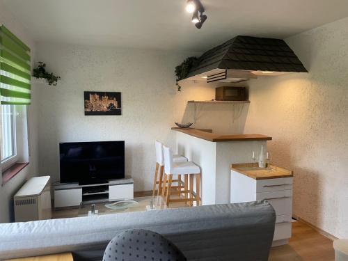 Mainz-Bingen Apartment | Haus Ehrenfels