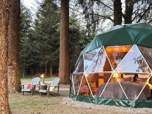 Hockai Other | High Moor Glamping