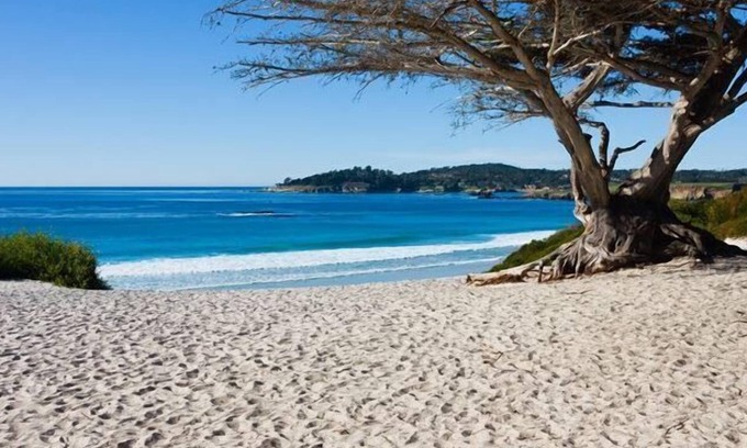 Northwest Carmel Hotel | Hofsas House Hotel