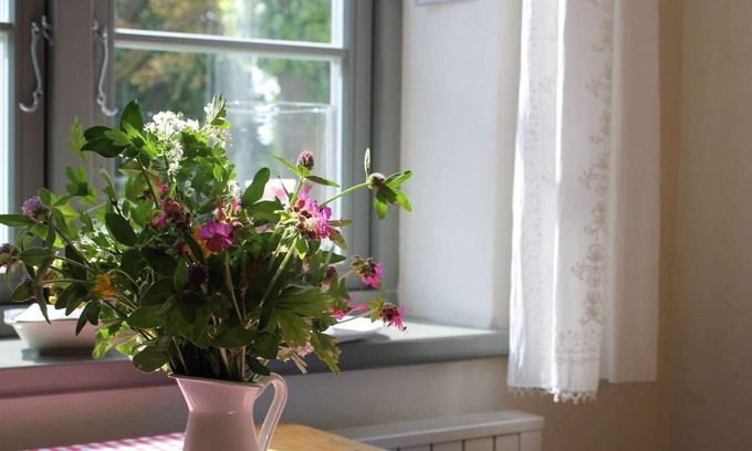 Steffenshagen Apartment | holiday apartment in Steffenshagen with garden