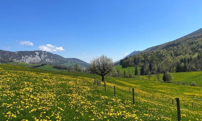 Gansbrunnen Other | Holiday apartment Gänsbrunnen for 1 - 5 persons with 2 bedrooms - Farmhouse