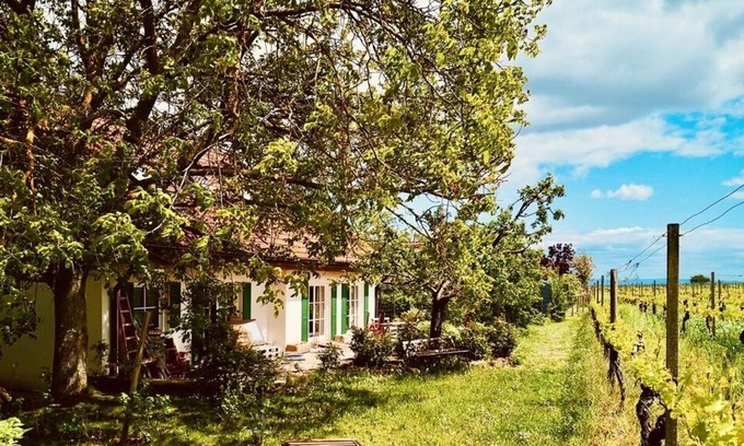 Bissersheim Apartment | Holiday apartment "Portuguese Dreams" located on the vineyard
